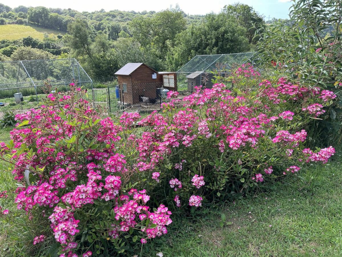 Keryanti Domaine De Lesleac'H Villa Le Ponthou Екстериор снимка
